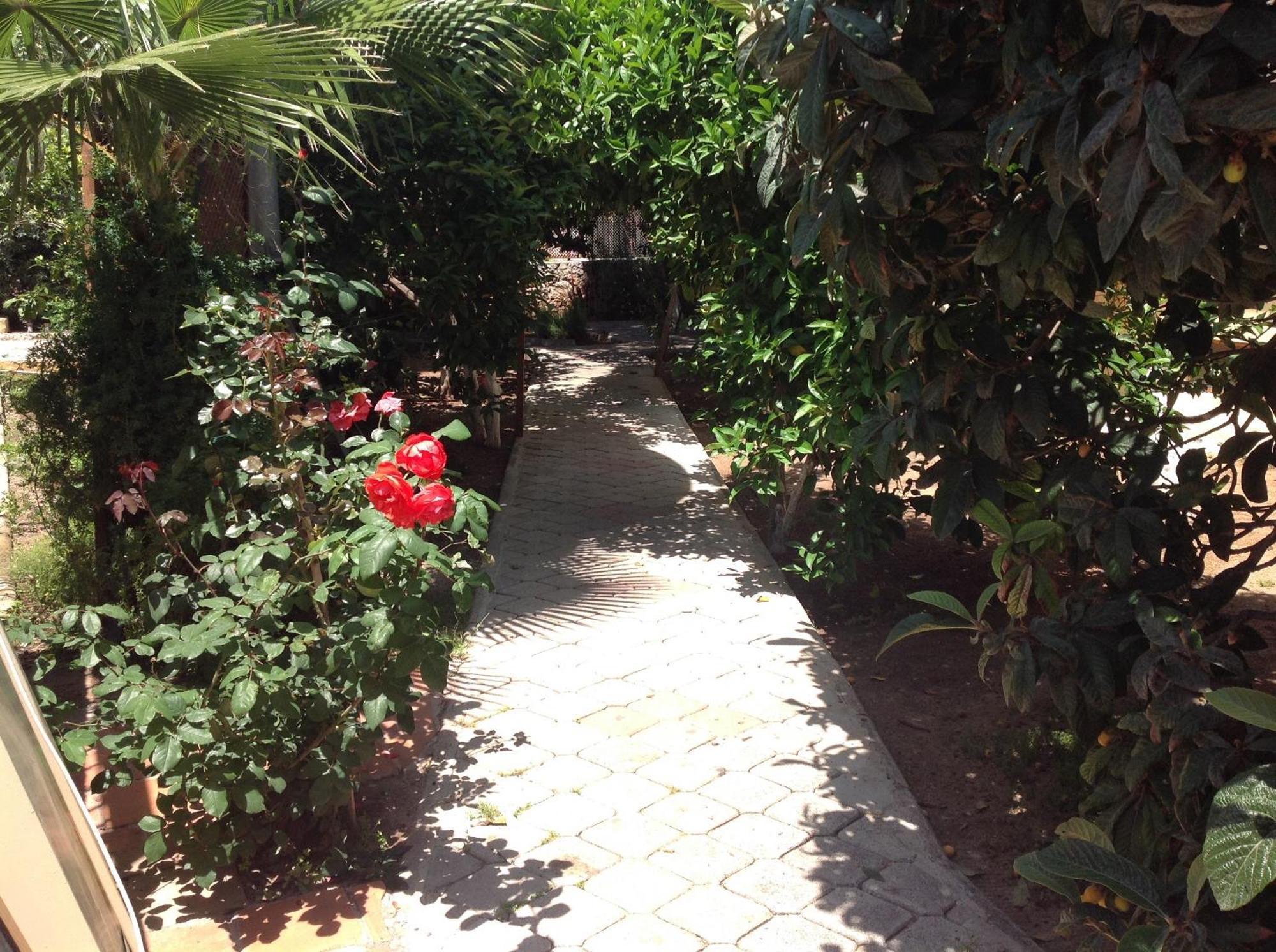 Ilkiz Beach Hotel Ölüdeniz Buitenkant foto