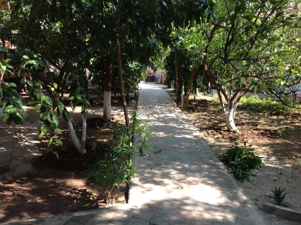 Ilkiz Beach Hotel Ölüdeniz Buitenkant foto